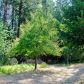 11500 Brunswick Pines Road, Grass Valley, CA 95945 ID:1137658