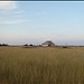 Tovar, Harlingen, Harlingen, TX 78550 ID:955794
