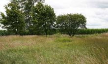 12551 Hartley Rd Waldron, MI 49288
