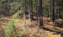 Lot 118 Eagle Pointe Shores Pittsville, VA 24139