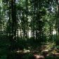 5 Saddle Creek Drive, Jefferson, GA 30549 ID:2434178