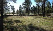 20 Acres 7.85 Miles S Vernon/McNary Pinetop, AZ 85935