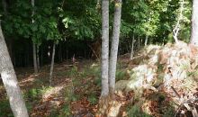 590 Settles Brook Court Suwanee, GA 30024