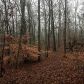 6052 W River Road, Flowery Branch, GA 30542 ID:2956653