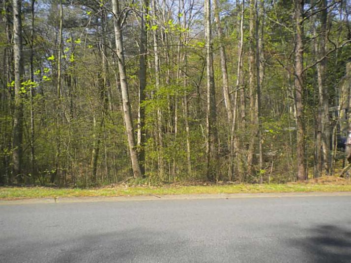 141 Dockside Downs Drive, Woodstock, GA 30189