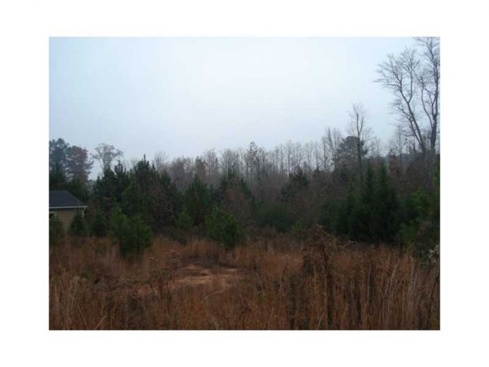 3432 Holly Glen Drive, Dacula, GA 30019