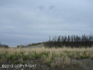 L11 B4 E Tributary Avenue, Palmer, AK 99645