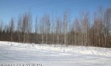 13653 W Klutina Drive Big Lake, AK 99652