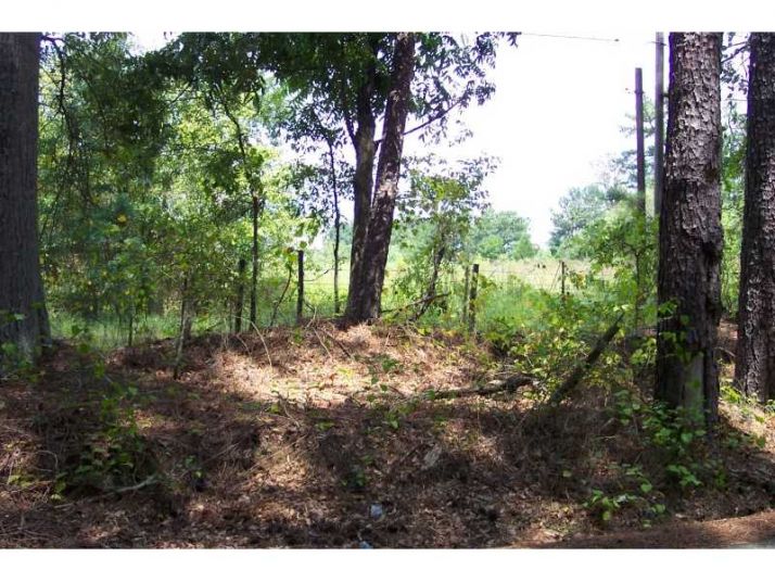 0 Hodges Road, Loganville, GA 30052