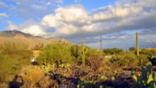 7070 N Doane Tucson, AZ 85718