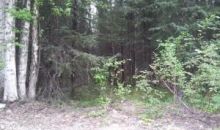 12119 W Hidden Drive Big Lake, AK 99652