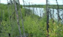 568 Loon Boulevard Big Lake, AK 99652