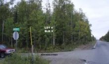 13991 W Norcross Street Big Lake, AK 99652