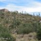4140 N Larkspur, Tucson, AZ 85749 ID:1651660