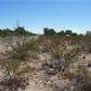 1657 Drummond Ave, Ridgecrest, CA 93555 ID:1677831