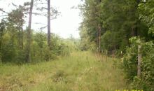 53.68 Acres Rover, AR 72860
