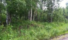 2611 S Walnut Wood Drive Big Lake, AK 99652