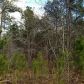 0 Ruff Road, Rockmart, GA 30153 ID:2445329