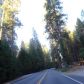 16068 Raylene Ct, Grass Valley, CA 95945 ID:2029003