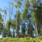 L 12 Authentic Road, Soldotna, AK 99669 ID:1081850