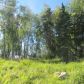 L 12 Authentic Road, Soldotna, AK 99669 ID:1081851