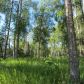 L 12 Authentic Road, Soldotna, AK 99669 ID:1081853