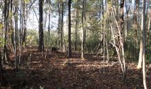 River Road 56.5 acres Valley, AL 36854