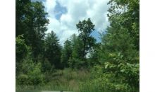 4 Nimblewill Overlook Dahlonega, GA 30533