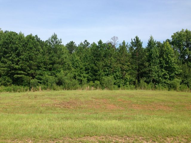 Lot 71 River Bend Heights, Valley, AL 36854