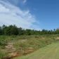 4.26 Acres Hwy 115, Maynard, AR 72444 ID:1168589