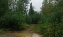 14722 W Concord Street Big Lake, AK 99652
