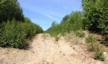 1178 N Beaver Lake Road Big Lake, AK 99652