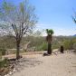 1039 S Saguaro Drive, Wickenburg, AZ 85390 ID:804032