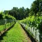 2 Strada Valdichiana, Dahlonega, GA 30533 ID:2450726