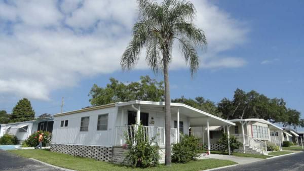 2419 Gulf to Bay Blvd., 504, Clearwater, FL 33765