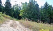 Manton St #42 Manton, MI 49663