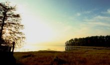 126 Love Nest Lane Florien, LA 71429