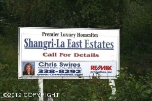 L2 B2 Sandpiper Drive, Anchorage, AK 99516