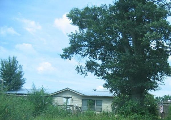 1505 Salem Chipley Road, Pine Mountain, GA 31822