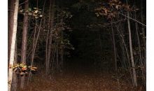 0 Cedar Grove Road Atlanta, GA 30336