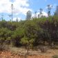 14555 McCourtney Road, Grass Valley, CA 95945 ID:1137342