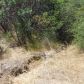 14555 McCourtney Road, Grass Valley, CA 95945 ID:1137343