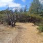 14555 McCourtney Road, Grass Valley, CA 95945 ID:1137348
