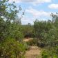 14555 McCourtney Road, Grass Valley, CA 95945 ID:1137349