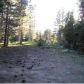 214 Starwood Drive, Mammoth Lakes, CA 93546 ID:1684022