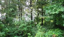 00 CHESTNUT LOT 13 Eddyville, KY 42038