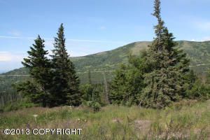 Lot 07 Potter Heights Road, Anchorage, AK 99516