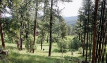 53 Breakneck Road Newcastle, WY 82701