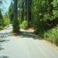 14234 Bar Ela Ranch Road, Grass Valley, CA 95945 ID:1137367