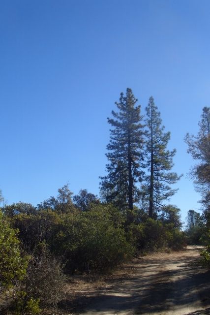 11166 Treasure Box Road, Grass Valley, CA 95945